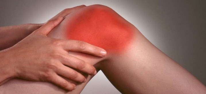 Alimente bogate în hondroitin